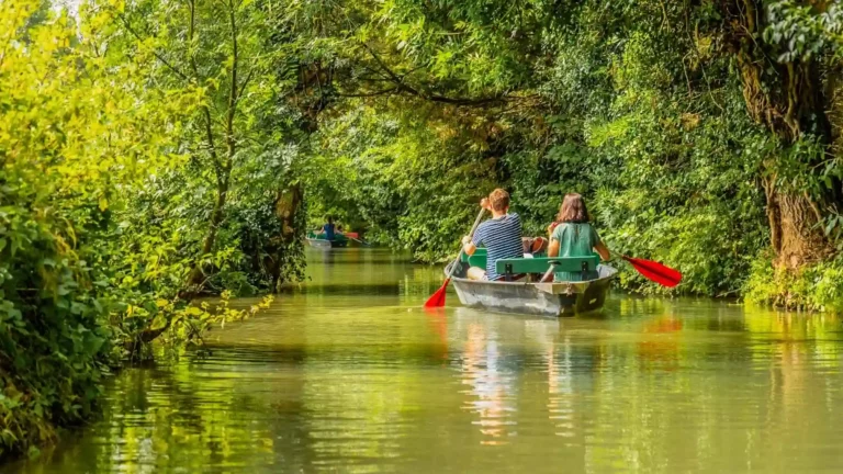 marais poitevin camping marais sauvage